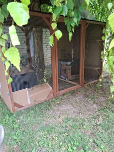 Wiltec Freilaufgehege Katzen 180 x 80 x 111,8 cm mit 3 Liegeflächen, wetterfestes Katzengehege Garten, Katzenhaus mit Drahtgitter und Bitumen Dach Kunden-Foto 5