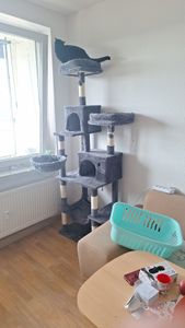 Feandrea XXL Kratzbaum, 199 cm, mehrstufig, mit Sisalstämmen, beige Kunden-Foto 20