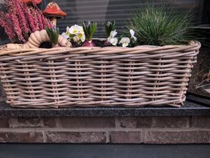 3.06 Weide Pflanzkorb mit Henkel - ca. 35 x 24 cm - Blumentopf natur Pflanztopf Kunden-Foto 1