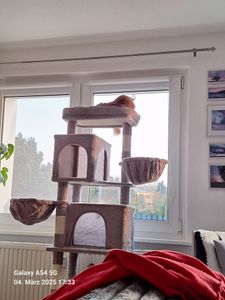 Feandrea Kratzbaum groß, XL, mehrstöckiger Katzenbaum mit Höhlen und Liegemulden Kunden-Foto 1