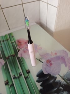 Philips Sonicare HX6068/13 W2 Optimal White black Kunden-Foto 1