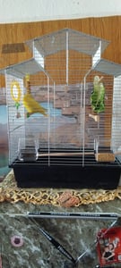 Vogelkäfig,Wellensittichkäfig,Exotenkäfig,60 cm Vogelkäfig Vogelbauer Wellensittich Kanarien Voliere Vogelhaus Käfig IZA 2 II schwarz Kunden-Foto 1