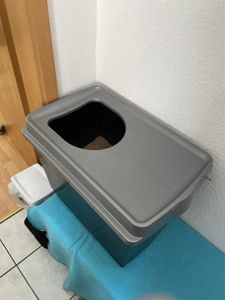 2er Set Hop In Katzenklo oben einstieg Katzentoilette geschlossen Top Entry Jump-In XXL Haubentoilette Groß Katzen Klo schwarz Doppelpack Katzentoiletten Kunden-Foto 1