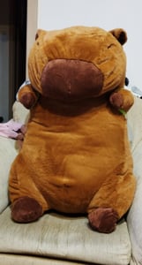 Großes Maskottchen Plüsch-Kissen Spielzeug Capybara 100 cm Kunden-Foto 1