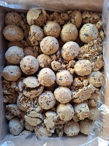 Futterbauer Meisenknödel 200 Stück ohne Netz, Hochwertige Meisenknödel für Wildvögel, ca. 90 g je Knödel, mit Vitaminen & Fetten Kunden-Foto 11