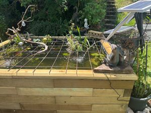 esotec Wasserspeier-Figuren Frosch-Paar | Einzelfigur Gartenfigur 100737 Kunden-Foto 1