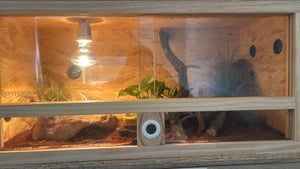 Repiterra® Hochterrarium Seitenbelüftung Holzterrarium OSB Holz 60x120x60cm Kunden-Foto 2