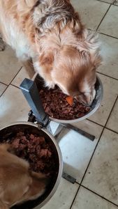 Lachsöl, Fischöl für Hunde u. Katzen 1 Liter, Omega -3 und Omega -6 Fettsäuren,  - Ohne Zusatz, Barf Öl, Wertvolles Naturprodukt Kunden-Foto 1