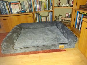 Gute Hundecouch
