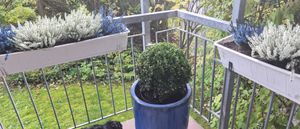 Palla di bosso Ø 35 cm - pianta artificiale sempreverde Buxus sempervirens per giardino e decorazione Foto del cliente 1