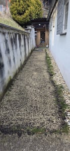 5 kg Rasensamen trockenresistent dürreresistent für Trockenrasen & Schattenrasen Samen Grassamen schnellkeimend, 200m², ideal für Neuansaat und Nachsaat, Rasensaat Grassamen Kunden-Foto 1