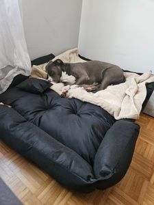 Tyson liebt es 