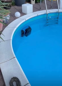Poolroboter AIRROBO CP20, Kabelloser Poolsauger Reinigt den Boden, Wände, Wasserlinie, Poolreiniger-Staubsauger für Ein- und Oberirdi Kunden-Foto 1