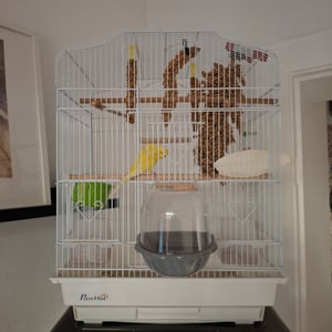 PawHut Vogelvoliere Vogelkäfig Stahlvoliere mit Ständer Vogelhaus Weiß Kunden-Foto 1