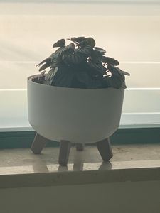 Blumentopf auf Füßen GRACIA LOW DGRL240L | Weiß Kunden-Foto 1