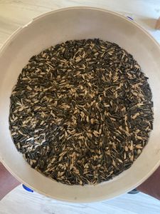 25 kg Lyra Pet® Sonnenblumenkerne Mix Kunden-Foto 1