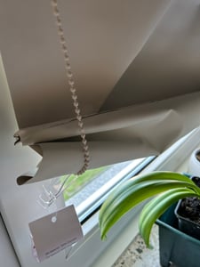 Verdunklungsrollo 70x160cm Hellgrau Thermorollo Fensterrollo Klemmfix ohne Bohren Seitenzugrollo Sonnenschutz Wärmeschutz Blickdicht Rollo Kunden-Foto 2