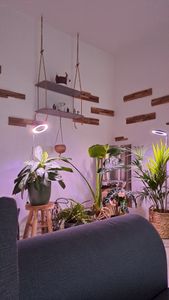 Pflanzenlampe LED Vollspektrum Pflanzenlicht für Zimmerpflanzen Höhenverstellbares LED- Pflanzenwachstumslampe mit 3/9/12H Timer, Adapter, Schwarz Kunden-Foto 1