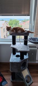 FEANDREA Kratzbaum 186 cm, Katzenbaum für große katzen, 13 dicken Säulen (11 cm d), stabil, Kippschutz, Tintenschwarz Kunden-Foto 29