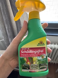 Neudorff Spruzit AF Schädlingsfrei 250 ml - biologische Bekämpfung Kunden-Foto 1