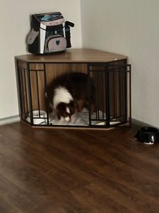 EUGAD Ecke-Hundekäfig mit Tür für Zuhause, Helle Eiche + Schwarz 111x67x60 cm Kunden-Foto 3