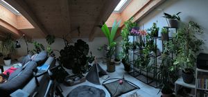 Nabíjačka SWAREY 555Wh so solárnym panelom 100W, solárny generátor Napájacia Stanica 550W (špičkový 1100W) s obojsmerným rýchlonabíjaním USB-C 140W Fotografia od zákazníka č. 1
