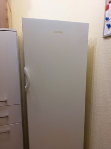 Gorenje FN4172CW Gefrierschrank, Volumen: 194 Liter, Türanschlag wechselbar, weiß Kunden-Foto 1