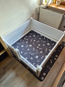 VEVOR Cassa da trasporto per cani, 1520x1520x610 mm, box per cuccioli in PVC plastificato con porta regolabile in altezza e tappetino lavabile, cassa per cuccioli di taglia extra large, bianco latte Foto del cliente 1