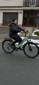 HillMiles E Bike, City E-Bike & E-Hollandrad mit 36V 13Ah Akku bis zu 80-100km, SHIMANO 7-Gang, 250W Motor&25km/h, MileCity1 Kunden-Foto 21
