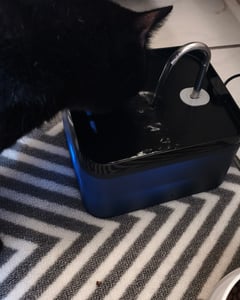 Katzen und Hunde automatischer Trinknapf, Trinkbrunnen, Wasserbrunnen für Hunde und Katzen 2,2L, Tiertrinknapf, Inkl. 1 Filter und 1 Schwämme, Schwarz Kunden-Foto 1