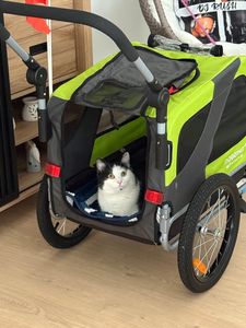 DOGGYHUT® Premium MEDIUM Hundefahrradanhänger & Jogger 2in1 Fahrradanhänger Kunden-Foto 6