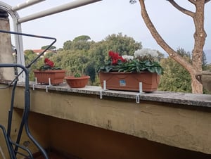 Siena Garden support pour bacs à fleurs en H pour parapets, vert (1 paire) Photo du client 2