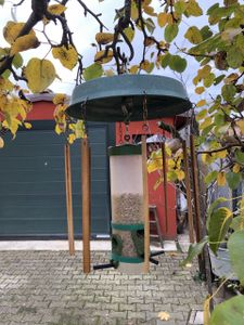 10 kg Boill Sonnenblumenkerne geschält - Vogelfutter direkt vom Hersteller Kunden-Foto 1
