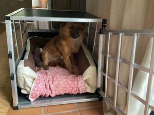 CADOCA® Hundetransportbox Aluminium Hundebox Kofferraum robust verschließbar trapezförmig M 54x70x51cm Reisebox Autobox Tiertransportbox Kunden-Foto 2