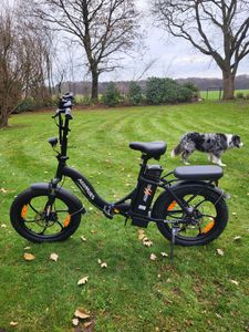 HillMiles E Bike, E-Bike Klapprad mit 36V 13Ah Akku bis zu 80-100km, 20 *3.0 Zoll, 7-Gang SHIMANO, 250W Motor & 25km/h MilePort 1 Kunden-Foto 12