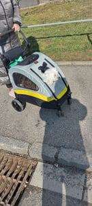 WISFOR Hundebuggy Faltbar, XL Hundewagen für mittelgroße und große Hunde bis 65kg,  Hundeanhänger Hundetasche mit verstellbar Griff Kunden-Foto 17