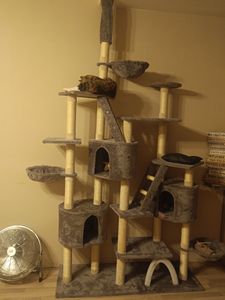 HAPPYPET Kratzbaum deckenhoch 260 cm hoch, Kletterbaum SAM – Großer XXL Katzenbaum Stabil für mehrere Katzen, stabile 8 cm Säulen, mit Zubehör, Beige Kunden-Foto 17