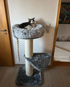 HAPPYPET Premium Kratzbaum Grosse Katzen Stabil 'Felix' - Katzenbaum, Kletterbaum, für Maine Coon, Natursisal, Dicke Stämme mit 18 cm, 120 cm Hoch Kunden-Foto 1