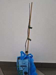 Achtung! Hier wird Müll verschickt