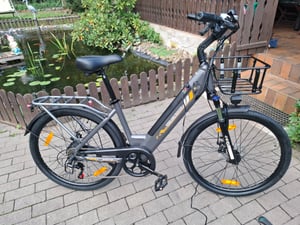 Runetic Ebike, City e-bikes & Dutch e-bikes, 250W Motor, herausnehmbarer 36V 13Ah Akku, bis zu 80 km Reichweite, 7 Gänge, 25 km/h - Grün Kunden-Foto 1