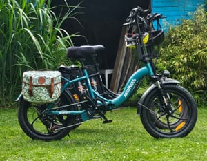 HillMiles E Bike, E-Bike Klapprad mit 36V 13Ah Akku bis zu 80-100km, 20 *3.0 Zoll, 7-Gang SHIMANO, 250W Motor & 25km/h MilePort 1 Kunden-Foto 2