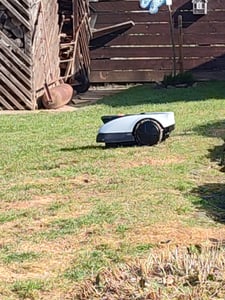 ECOVACS Mähroboter Goat O600 Ohne Begrenzungskabel, 600 m², RTK+Vision Navigation, Rasenmähroboter, KI-Hindernisvermeidung, passiert 0,7m Engstellen Kunden-Foto 1