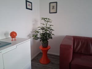 Sgabello a clessidra in plastica, prodotto lucido, rosa Foto del cliente 3