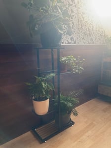 Korrosionsbeständiger Etagen-Pflanzenständer, platzsparender Blumenständer in Dunkelgrau, lackiert - POTSTAGE Kunden-Foto 4