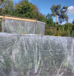 Gartenvlies Schutzvlies 3,2 x 50m Pflanzvlies zur Abdeckung von Gemüsebeeten weiß ca. 17 g/m² Kunden-Foto 1