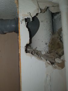 Otto Haas Easy-Fix DN 100/50 Nr.5002, 1 Stk. Kunden-Foto 2