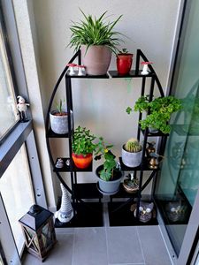 Tribesigns Blumenständer, 2 Stück Pflanzenregal mit 5 Ebenen und 2 Haken, 160cm Hoch Pflanzenständer Metall Blumenregal für Indoor Balkon(Mattschwarz) Kunden-Foto 8