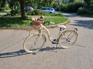 Milord Komfort Fahrrad Mit Weidenkorb Damenfahrrad, 28 Zoll, Grün-Creme, 7 Gang Shimano Kunden-Foto 2