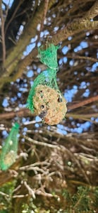 Vogelfood 100x90g Meisenknödel (9kg) ohne Netz Wildvogelfutter Ganzjahresvogelfutter Vogelfut Kunden-Foto 5