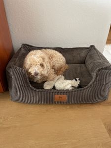 Knuffelwuff orthopädisches Hundebett aus Cord mit Handwebcharakter Nunavut XL 105 x 75cm Grau Kunden-Foto 2